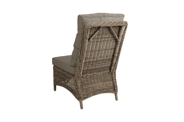 3964-21-20 Rosita, центральная секция